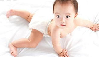 免费给小男孩取名(给个小男孩起名) 免费给小男孩取名(给个小男孩起名)