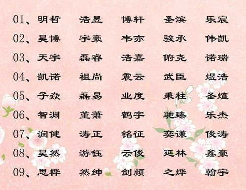 王姓取名字大全男孩(王姓取名字大全男孩 从字辈起) 王姓取名字大全男孩(王姓取名字大全男孩 从字辈起)