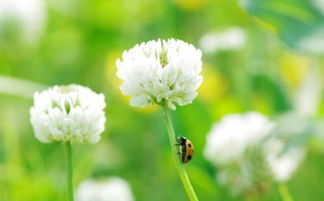 比较有诗意的游戏名字(比较有诗意的游戏名字大全) 比较有诗意的游戏名字(比较有诗意的游戏名字大全)