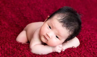 今年出生男孩取名免费(今年男孩取名宝典) 今年出生男孩取名免费(今年男孩取名宝典)