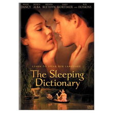 字典(字典情人) 字典(字典情人)