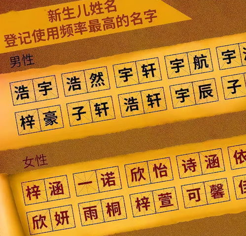 用梓取名都是傻瓜（用梓取名都是傻瓜吗）