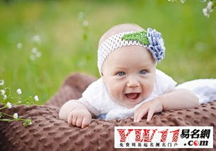 免费给新生儿取名字大全(免费新生儿取名网站) 免费给新生儿取名字大全(免费新生儿取名网站)