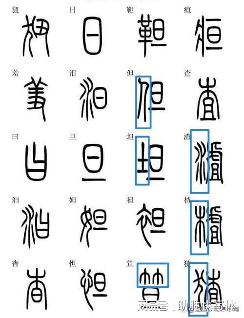 带三点水的字（带三点水的字却和水没有关系的字）