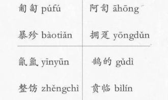 生僻字大全（生僻字大全查询）