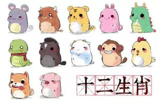 十二生肖起名网2023年(十二生肖取名开示总汇) 十二生肖起名网2023年(十二生肖取名开示总汇)