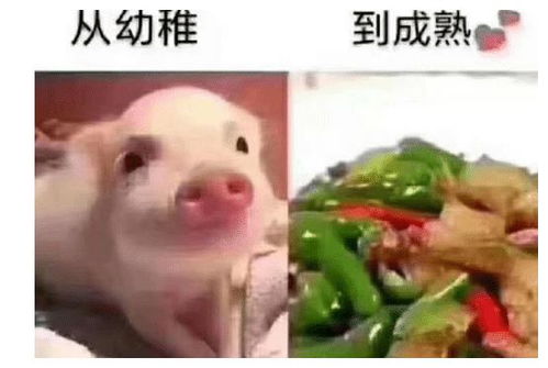 好听又幽默的昵称(好听又幽默的昵称带猪) 好听又幽默的昵称(好听又幽默的昵称带猪)