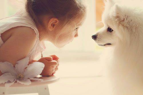 属虎女宝宝取名大全(属虎女孩儿名字) 属虎女宝宝取名大全(属虎女孩儿名字)