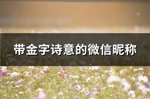 诗意网名（诗意网名古风）