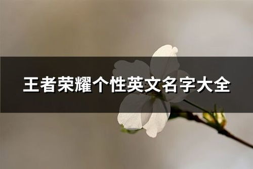 英文网名男（王者英文网名男）
