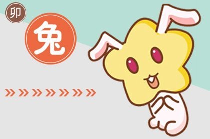 生肖配对（生肖配对详情）