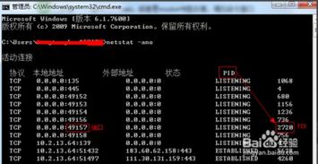 三个字的极品id（3个字id）