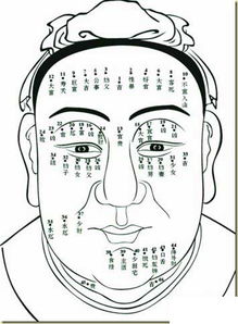 看相算命大全免费（看相算命大全免费捡到黄金）
