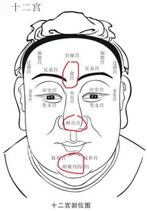 看相算命大全免费（看相算命大全免费捡到黄金）
