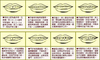 看相算命大全免费（看相算命大全免费捡到黄金）