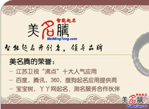 起名网公司测名（起名免费网公司名称打分）