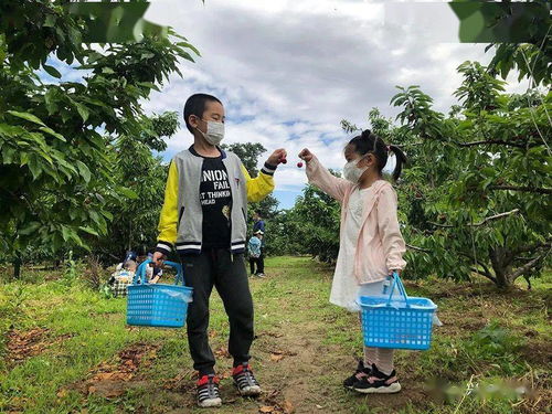 有点撒娇还甜的网名(有点撒娇还甜的网名六个字) 有点撒娇还甜的网名(有点撒娇还甜的网名六个字)