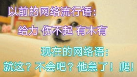 流行网名(网络流行网名) 流行网名(网络流行网名)