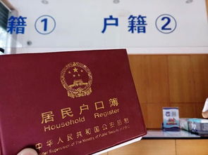 输入姓名查户籍(输入姓名查户籍系统官方网站) 输入姓名查户籍(输入姓名查户籍系统官方网站)