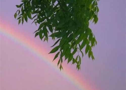 微信名字女(微信名字女好运招财) 微信名字女(微信名字女好运招财)