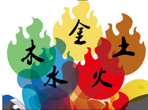 五行缺什么免费测试（新生儿查五行缺什么免费测试）