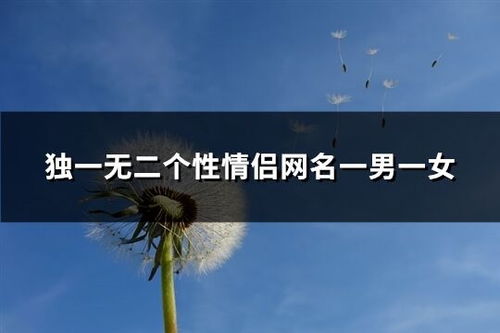 独一无二俩字情侣网名(独一无二二字情侣网名) 独一无二俩字情侣网名(独一无二二字情侣网名)