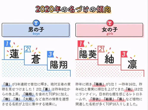 三藏起名网公司名字测试（三藏免费公司起名网）