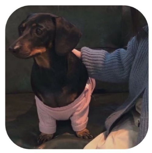 好听干净的英文网名(干净英语网名) 好听干净的英文网名(干净英语网名)