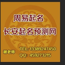 周易公司起名网免费(周易公司起名方法) 周易公司起名网免费(周易公司起名方法)