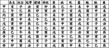 十算九准的算命法（算命十字是什么意思）