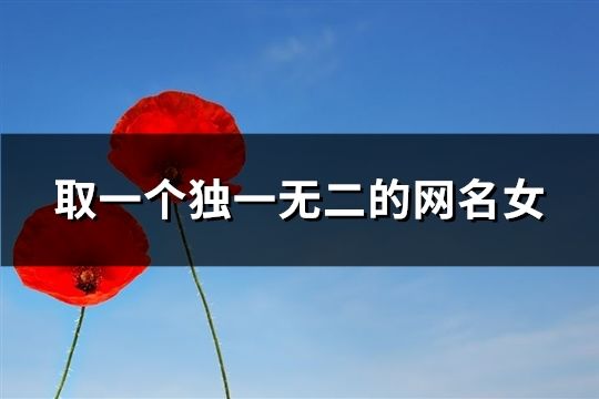 独一无二网名(魏姓独一无二网名) 独一无二网名(魏姓独一无二网名)