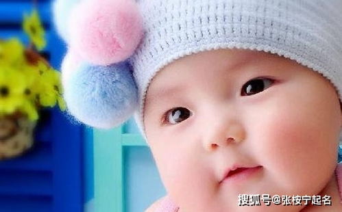 女宝简单大气名字(女宝简单大方名字) 女宝简单大气名字(女宝简单大方名字)