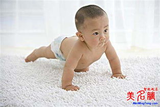 小孩取名大全男孩免费取名(小孩起名大全男孩100分) 小孩取名大全男孩免费取名(小孩起名大全男孩100分)