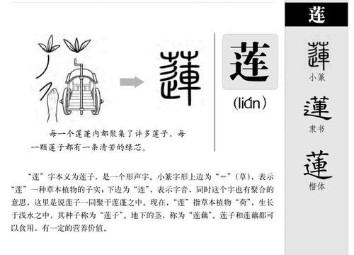 瑾字五行属什么(莯字五行属什么) 瑾字五行属什么(莯字五行属什么)