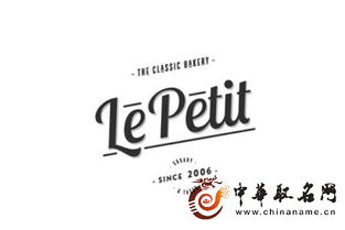 公司起名字查询（公司起名字查询以锐字为准吗）