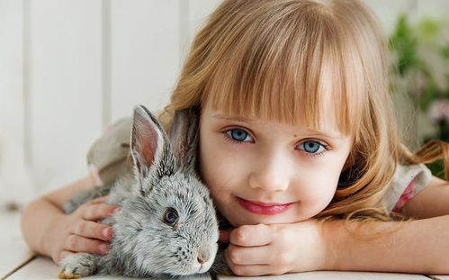 网上取名字大全女孩(网上起名大全 查询女孩) 网上取名字大全女孩(网上起名大全 查询女孩)