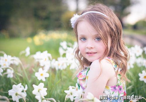 100个好听的网名(100个好听的网名冰雪女孩) 100个好听的网名(100个好听的网名冰雪女孩)