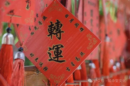 算命免费2024年运程（2024年运势怎么样）