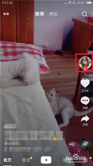 两口子恩爱昵称(两口子恩爱昵称抖音) 两口子恩爱昵称(两口子恩爱昵称抖音)