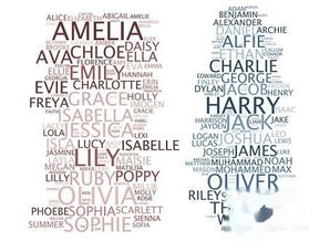 男生常用英文名100个(男生常用英文名大全加寓意) 男生常用英文名100个(男生常用英文名大全加寓意)