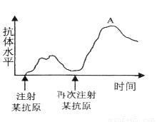 姓名的构成和含义(姓名的结构特点是什么) 姓名的构成和含义(姓名的结构特点是什么)