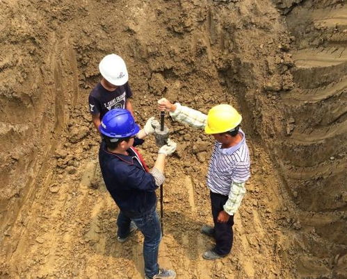 卜易居公司名称（卜易居周易测公司名）