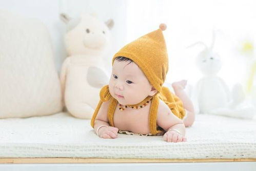 龙年女孩取什么名字好(龙年女孩子取名字大全) 龙年女孩取什么名字好(龙年女孩子取名字大全)