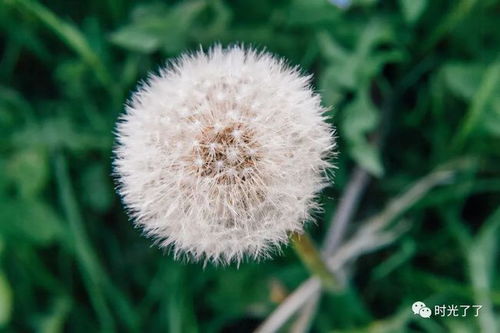 诗意高级情侣id(诗意高级情侣id二字) 诗意高级情侣id(诗意高级情侣id二字)