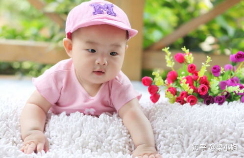 属兔的女孩最佳取名（属兔女孩子取什么名字好听有内涵）