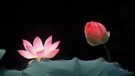 免费算一生婚姻感情(免费测算一生感情) 免费算一生婚姻感情(免费测算一生感情)