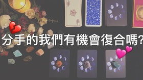免费占卜(免费占卜会反噬吗) 免费占卜(免费占卜会反噬吗)