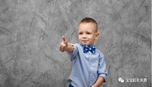 小名乳名起名大全(取小名最旺男孩) 小名乳名起名大全(取小名最旺男孩)