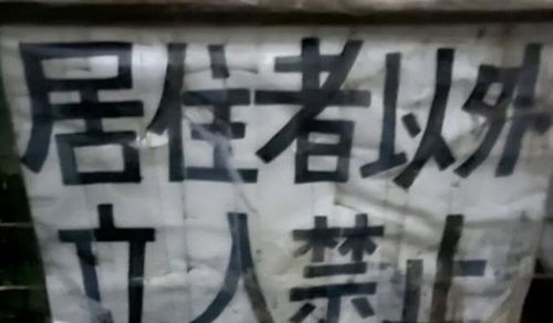 人最好不要算命(人应不应该算命) 人最好不要算命(人应不应该算命)