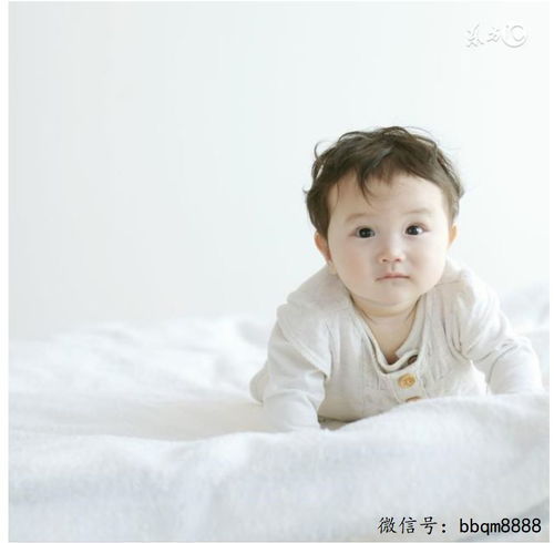 牛宝宝取名禁忌有哪些(牛宝宝起名忌用字2021) 牛宝宝取名禁忌有哪些(牛宝宝起名忌用字2021)